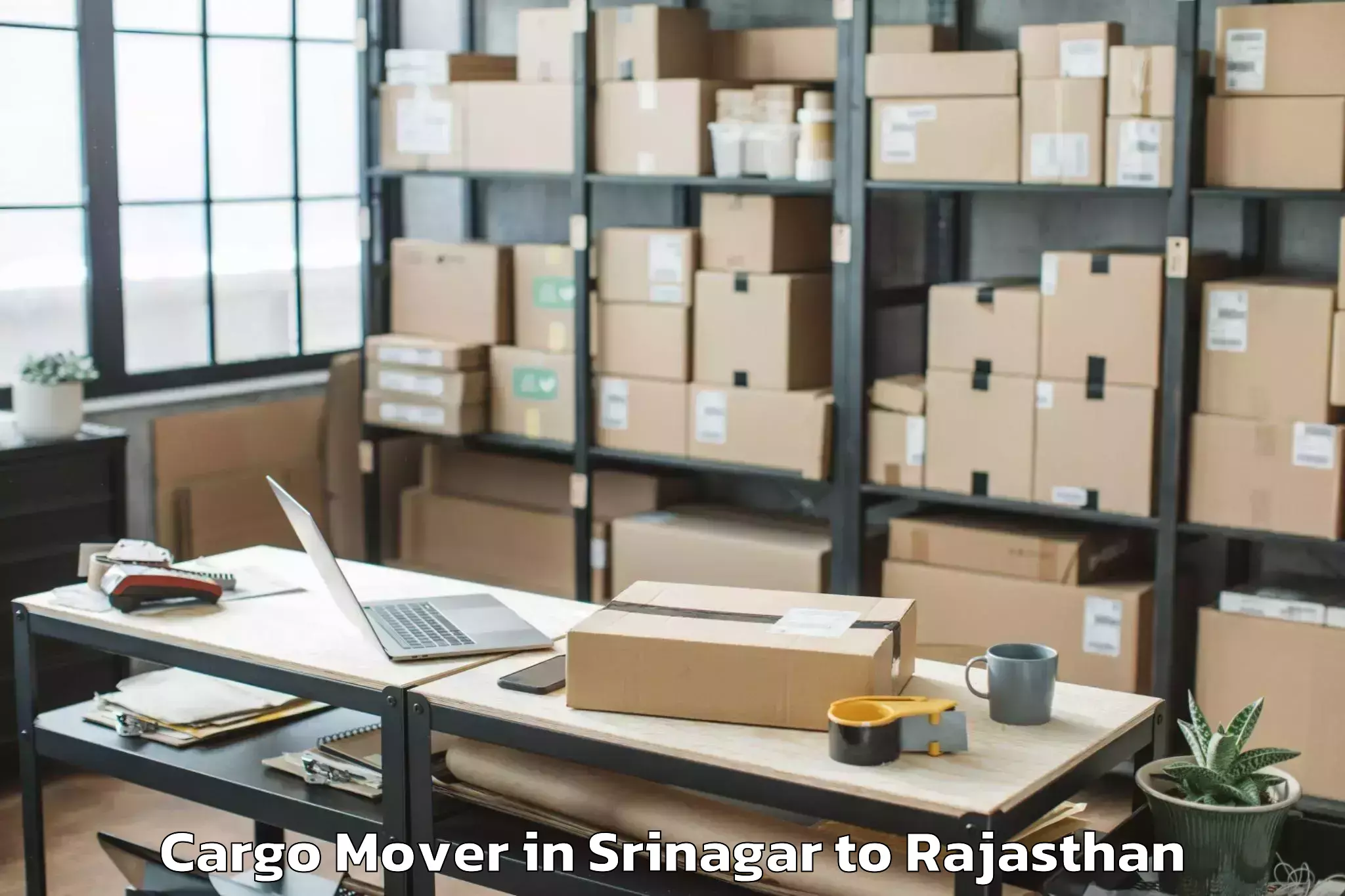 Srinagar to Pindwara Cargo Mover Booking